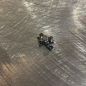 James Avery Turtle Charm